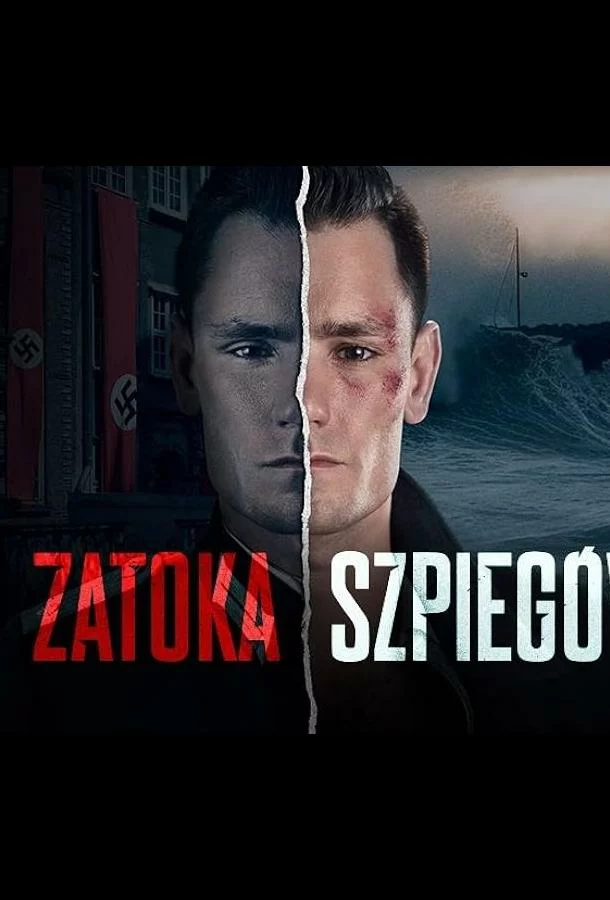 Шпионская бухта