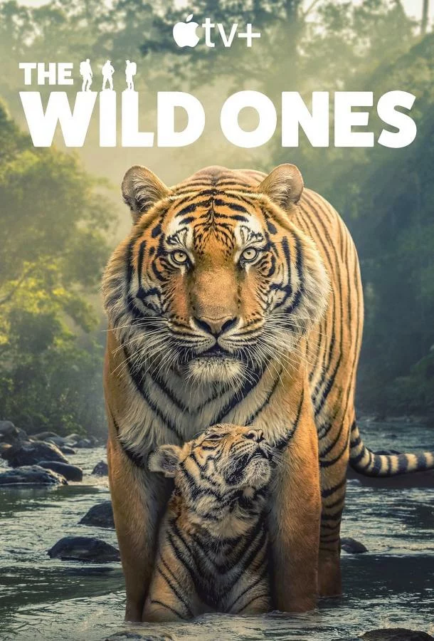 В мире дикой природы