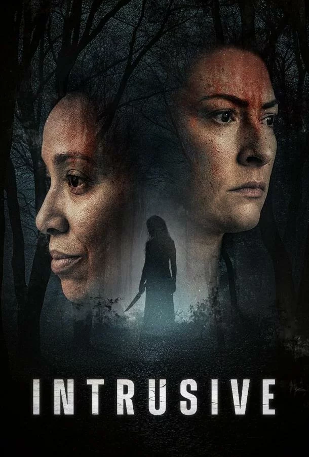 Навязчивость