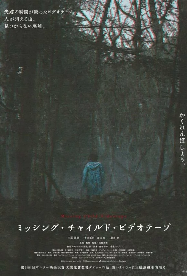 Видеозапись исчезновения ребёнка